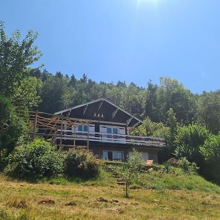 Le Chalet Des Amis Apartman Aurec-Sur-Loire Kültér fotó