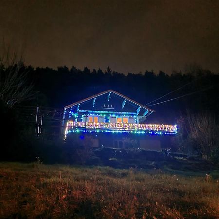 Le Chalet Des Amis Apartman Aurec-Sur-Loire Kültér fotó